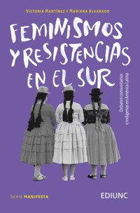 Feminismos y resistencias en el Sur - Victoria Martínez - ebook
