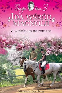 Z widokiem na romans Tom 3 - Donberg Michaela - książka