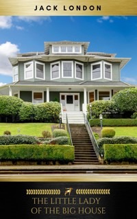 The Little Lady of the Big House - Jack London - ebook