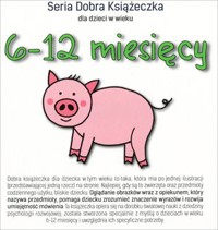 6-12 miesięcy. Seria Dobra Książeczka - Agnieszka Starok - książka