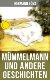 Mümmelmann und andere Geschichten - Hermann   Löns - ebook