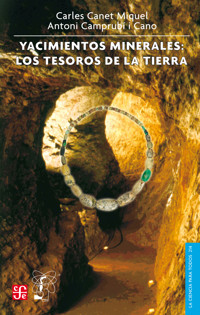 Yacimientos minerales - Carles Canet Miquel - ebook