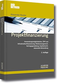 Projektfinanzierung - Alexander Reuter - ebook