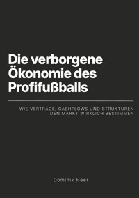 Die verborgene Ökonomie des Profifußballs - Dominik Heer - ebook