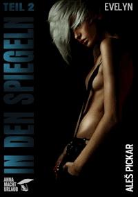 In den Spiegeln - Teil 2 - Aleš Pickar - ebook
