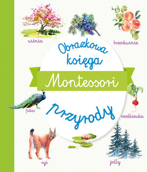 Montessori Obrazkowa księga przyrody - zbiorowa praca - książka