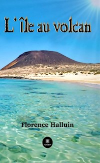 L'île au volcan - Florence Halluin - ebook