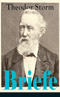 Briefe - Theodor  Storm - ebook