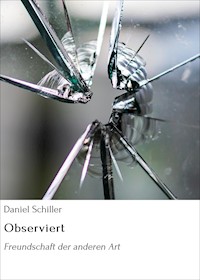 Observiert - Daniel Schiller - ebook