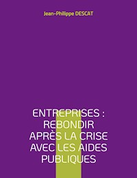 Entreprises : rebondir après la crise avec les aides publiques - Descat Jean-Philippe - ebook