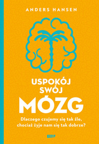 Uspokój swój mózg - Hansen Anders - ebook + książka
