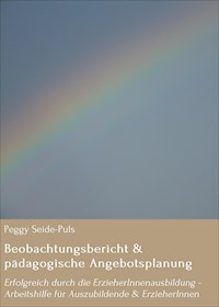 Beobachtungsbericht & pädagogische Angebotsplanung - Peggy Seide-Puls - ebook