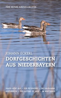 Dorfgeschichten aus Niederbayern - Johann Eckerl - ebook