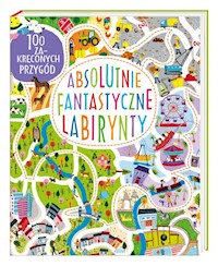 Absolutnie fantastyczne labirynty - Wilson Becky - książka