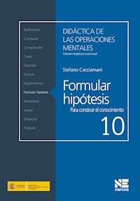 Formular hipótesis - Stefano Cacciamani - ebook
