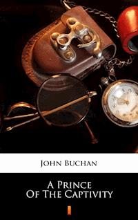 A Prince of the Captivity - John Buchan - ebook