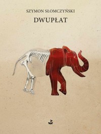 Dwupłat - Szymon Słomczyński - ebook