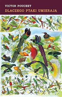 Dlaczego ptaki umierają - Victor Pouchet - książka