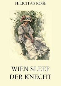 Wien Sleef, der Knecht - Felicitas Rose - ebook