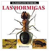 Las Hormigas - Maria Àngels Julivert - ebook