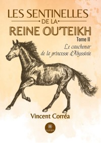 Les sentinelles de la reine Ou’Teikh -Tome 2 - Vincent Corréa - ebook