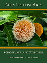 Schöpfung und Schöpfer - Sri Aurobindo - ebook
