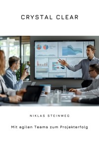 Crystal Clear - Niklas Steinweg - ebook
