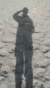 Inselhüpfen - Marc Rosenfeldt - ebook