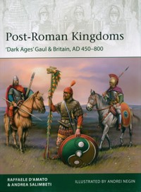 Post-Roman Kingdoms - D'Amato Raffaele - książka