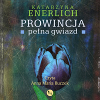 Prowincja pełna gwiazd - Katarzyna Enerlich - ebook + audiobook