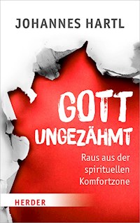 Gott ungezähmt - Johannes Hartl - ebook