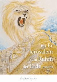 Bis Er Jerusalem zum Ruhm der Erde macht - Jürgen Erhard - ebook