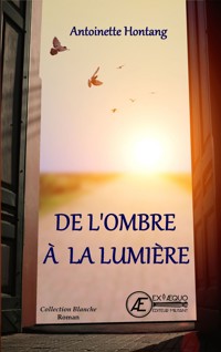 De l'ombre à la lumière - Antoinette Hontang - ebook