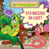 Kto mieszka na łące? - Płatkowska Paulina - książka