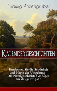 Kalendergeschichten - Ludwig Anzengruber - ebook