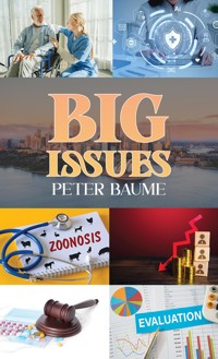 Big Issues - Peter Baume - ebook