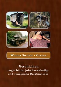 Geschichten unglaubliche, jedoch wahrhaftige und wundersame Begebenheiten - Werner Steimle-Gruner - ebook