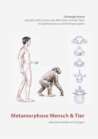 Metamorphose Mensch und Tier - Christoph Hueck - ebook