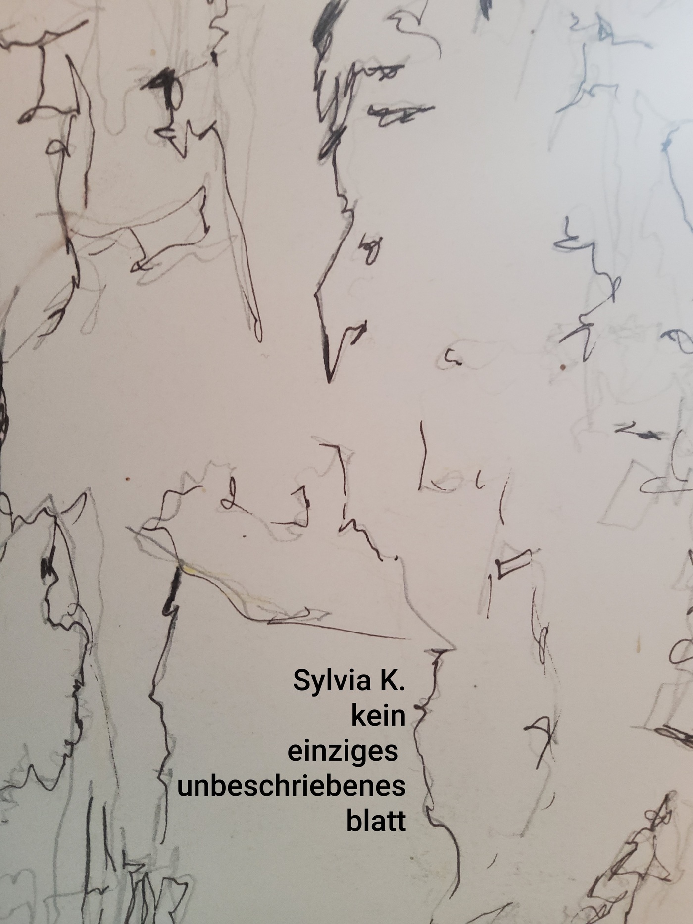 kein einziges unbeschriebenes blatt - Sylvia Krismayr - ebook