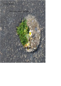 Mit Haiku durch das Jahr - Antje Steffen - ebook