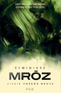 Cienie pośród mroku. Cykl z Sewerynem Zaorskim. Tom 6 - Remigiusz Mróz - ebook + audiobook + książka