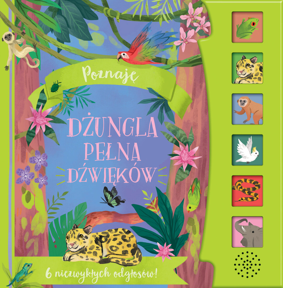 Poznaję. Dżungla pełna dźwięków - Kathryn Selbert (ilustr.) - książka