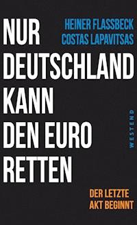 Nur Deutschland kann den Euro retten - Heiner Flassbeck - ebook