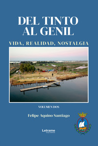 Del tinto al gentil - Felipe Aquino Santiago - ebook