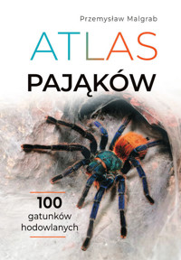 Atlas pająków - Przemysław Malgrab - książka
