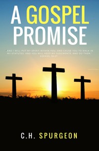 A Gospel Promisse - C. H. Spurgeon - ebook