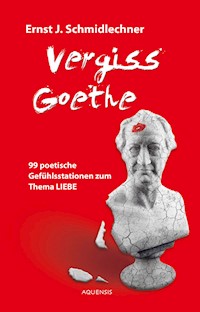 Vergiss Goethe - Ernst J. Schmidlechner - ebook