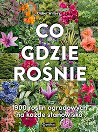 Co gdzie rośnie - Willery Didier - książka