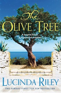 The Olive Tree - Riley Lucinda - książka