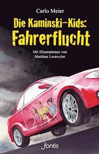 Die Kaminski-Kids: Fahrerflucht - Meier Carlo - ebook